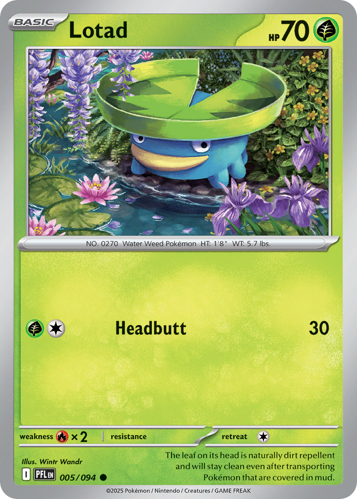 Lotad — Phantasmal Flames card #5 full image