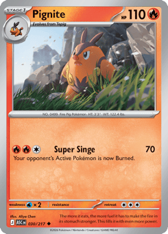 Pignite — Ascended Heroes #30