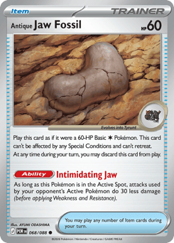 Antique Jaw Fossil — Perfect Order #68