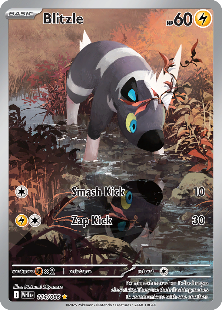 Blitzle — White Flare card #114 full image