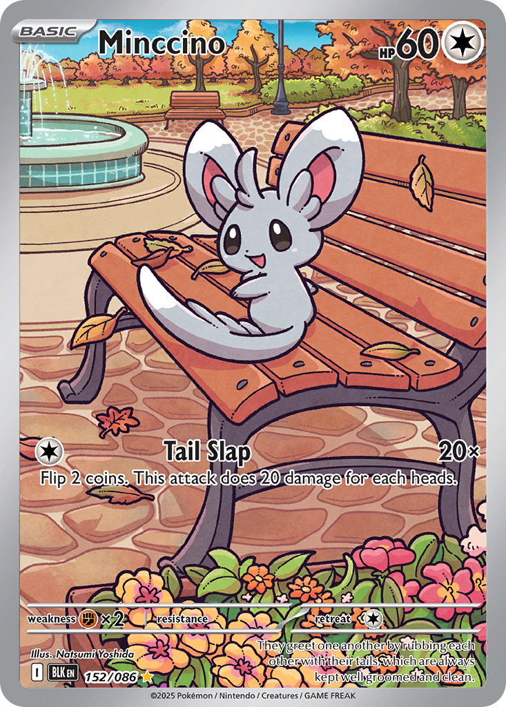 Minccino — Black Bolt card #152 full image